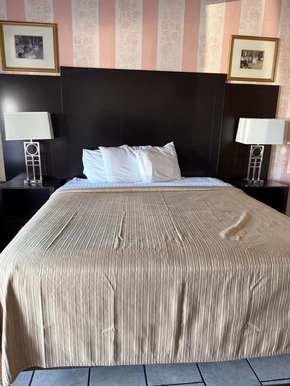 הוליסטר Cinderella Motel מראה חיצוני תמונה